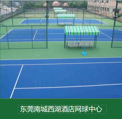 职业赛事场地选择：红土球场与硬地球场在弹跳、速度上的差异分析